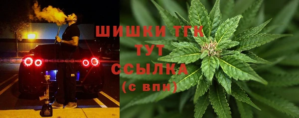 прущие грибы Горняк