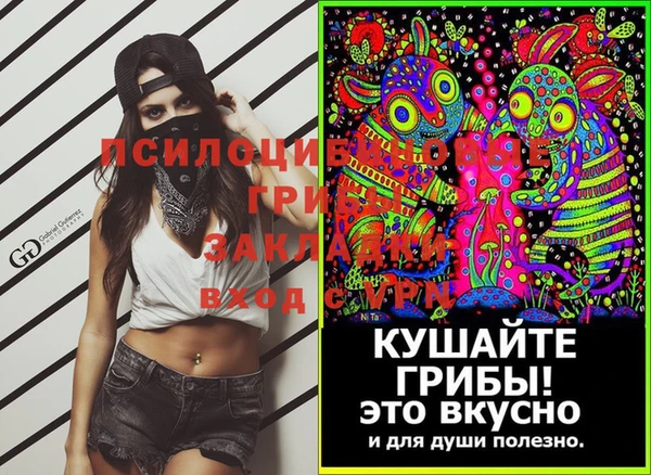 соль курить ск Горно-Алтайск