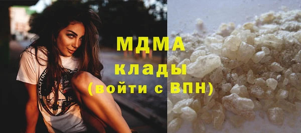прущие грибы Горняк