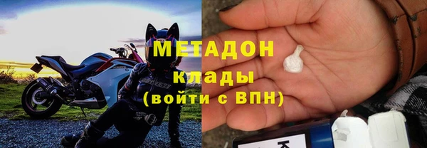 прущие грибы Горняк