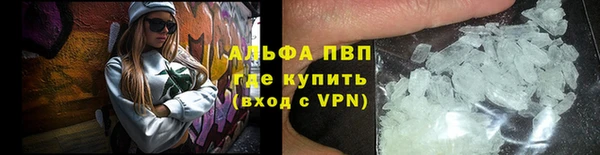 прущие грибы Горняк