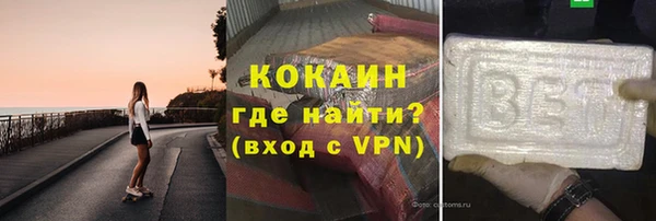 прущие грибы Горняк
