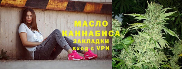 прущие грибы Горняк
