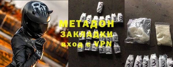 прущие грибы Горняк
