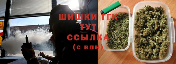 прущие грибы Горняк